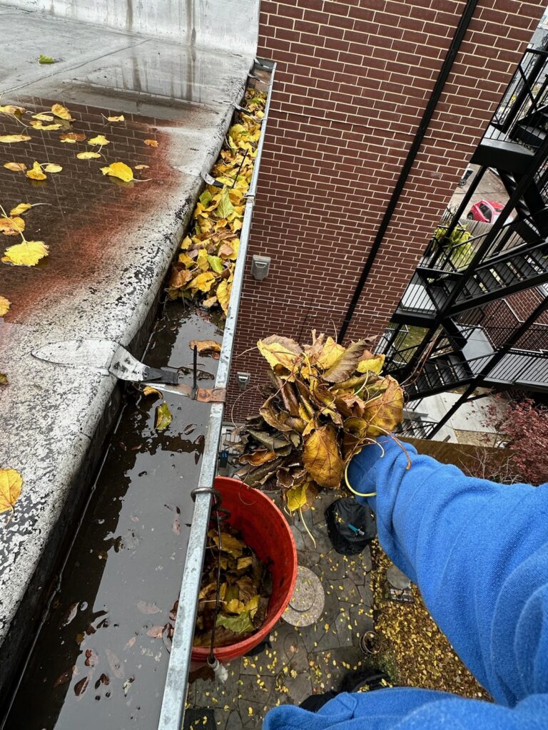 Gutter Cleaning, best in Chicago