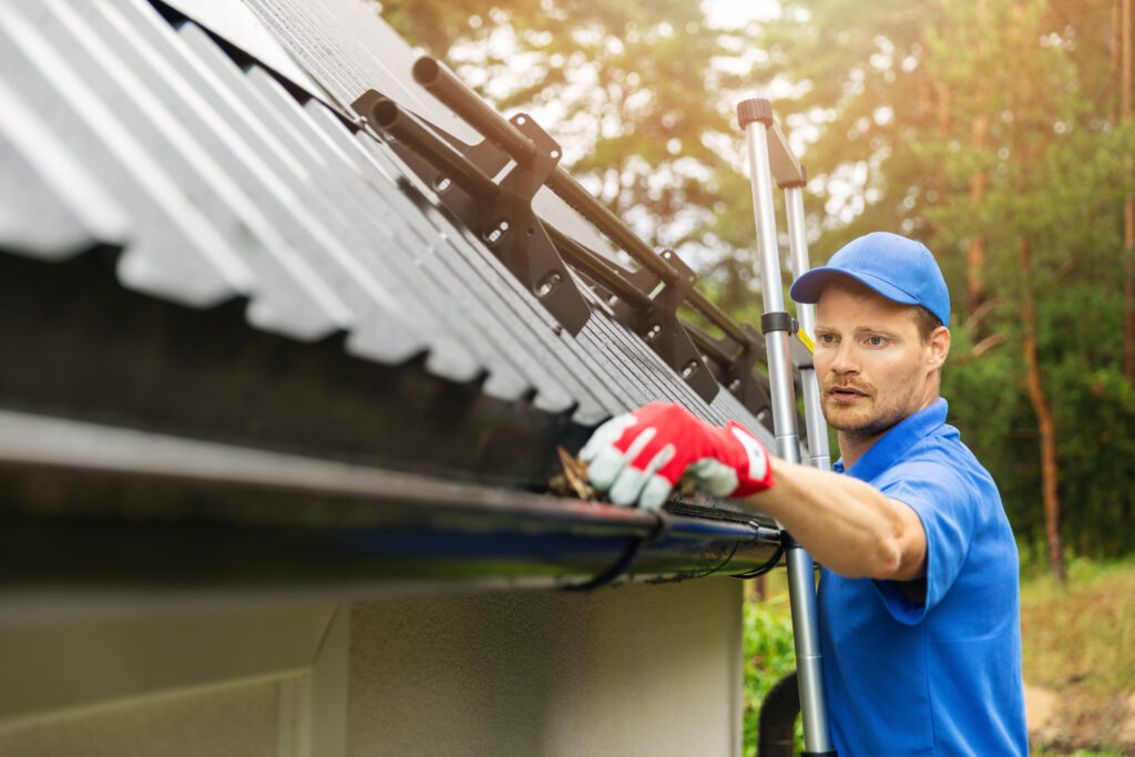Gutter cleaning Chicago