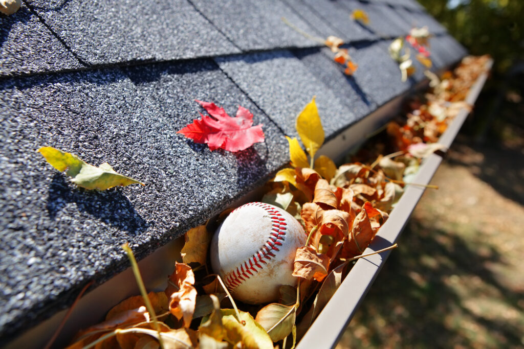 Gutter Cleaning services in Chicago